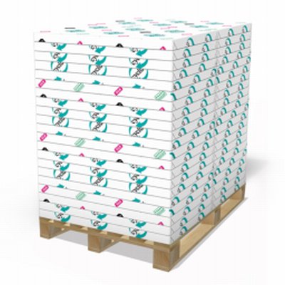 Cyclus Silk - 100% recycled gestreken papier - Antalis