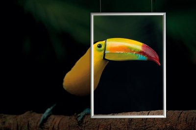 Posterframes