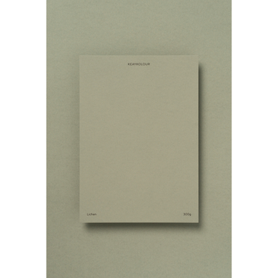 Papier Keaykolour Lichen 300g/m² 700mm x 1000mm