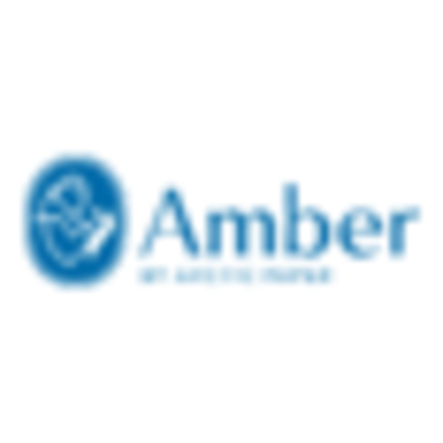 Amber Preprint
