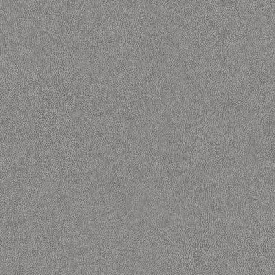 Coala Interior film Textile NE41 - Light Grey Leather - effet cuir