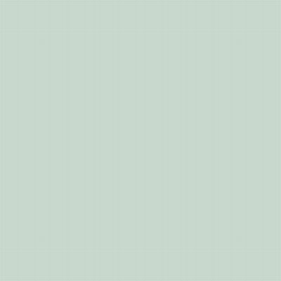 Coala Interior film Colours NE54 - Clean Mint - couleur unie