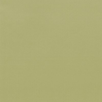 Coala Interior film Colours RM19 - Light Olive Grain - couleur unie