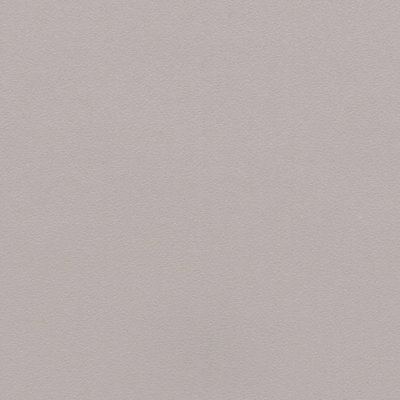 Coala Interior film Colours RM27 - Light Grey - couleur unie