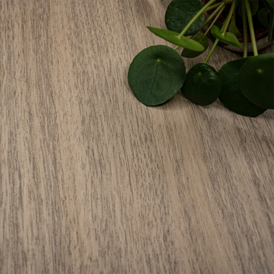 Coala Interior film, Wood NH77 - Honey Walnut - 1220mm