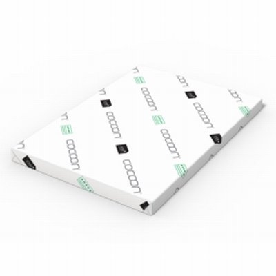 250