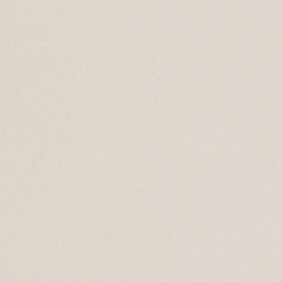 Papier de création Curious Skin Grège 135  g/m²  700 mm x 1000 mm