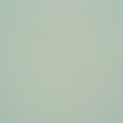 Papier Curious Skin Grey 270g/m² 700 mm x 1000 mm