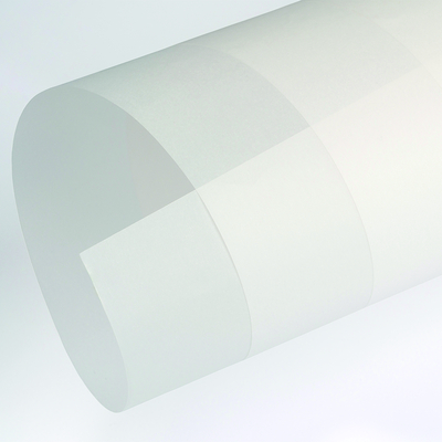 Papier Curious Translucents Clear 100g/m² 650mm x 920mm