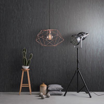 Coala Interior Film Bois