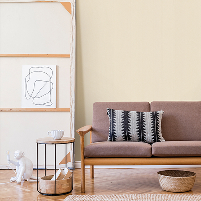 Coala Interior film Textile NE43 - Light Cream Leather - effet cuir