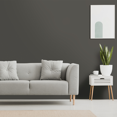 Coala Interior film Colours NE82 - Super Mat fossil grey - couleur unie effet peau de pêche