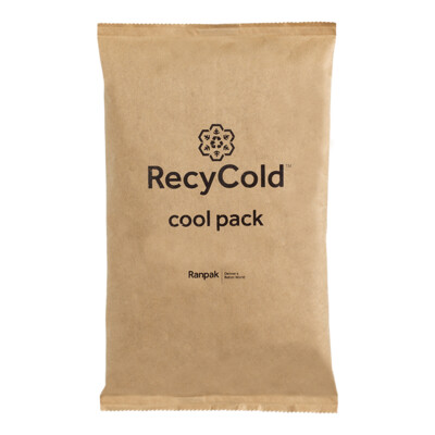 RecyCold Cool Pack Kraft/PE brun 600 g, 240 x 150 x 35 mm, boîte de 24