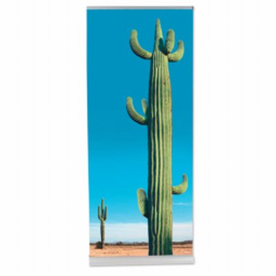 Coala System RollUp TWIN