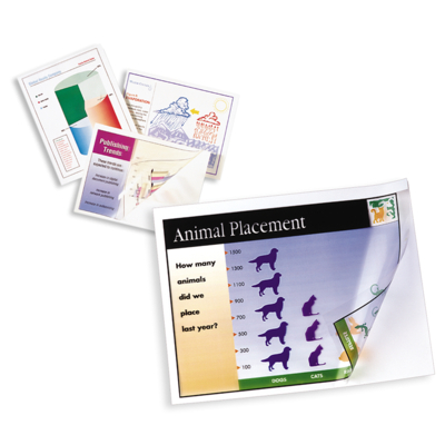 Xerox Premium transparanten - universeel