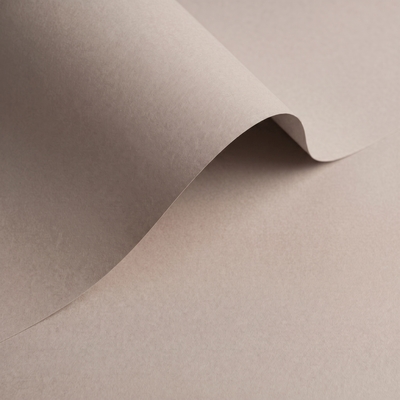 papier Olin Origins Pebble 240g 700x1000mm ingeriemd FSC®