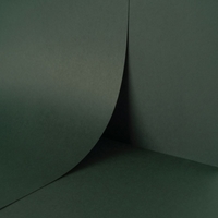papier Keaykolour Sparregroen 300g 700x1000mm ingeriemd FSC®