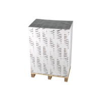 carton graphique Ensocoat 1S blanc 300g 450x320mm enramé