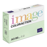 gekleurd papier Image Coloraction forest/middelgroen 80g 420x297mm ingeriemd FSC®