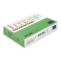 gekleurd papier Image Coloraction dublin/donkergroen 80g 210x297mm ingeriemd FSC®