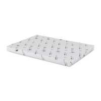 Adhésif extra permanent Blanc sans refente Raflatac Castgloss 80 g/m² 500 mm x 700 mm Enramé