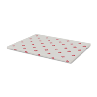 grafisch karton Upside Premium 1 Face wit 250g 450x640mm ingeriemd FSC®