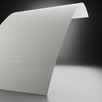 Conqueror Connoisseur Rag Soft White 120g/m² 450mm x 640mm avec filigrane Paquet de 250 feuilles