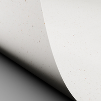 Papier Curious Particles, White Java, 320g/m², 700mm x 1000mm