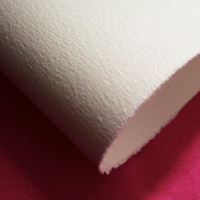 Papier Velin d'Arches Wit 160 g/m² 650 mm x 500 mm Pak van 125 vellen