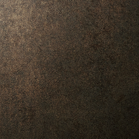 3M DI-NOC interieurfolie ME-2562 - Oxidized Metal - Metallic, 1220 mm x 50 m