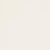 Papier de création Curious Skin Ivoire 135  g/m²  700 mm x 1000 mm