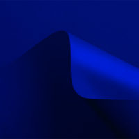 papier Curious Matter Adiron Blue 270g 700x1000mm ingeriemd FSC®