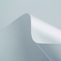 Papier Curious Matter Digital Goya White 135g/m²  330mm x 483mm