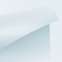 Papier Curious Metallics Digital Ice Silver 300g/m² 483mm x 330mm