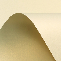 Papier Curious Metallics White Gold 120g/m² 720mm x 1020mm