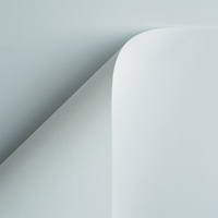 Papier Curious Skin Extra White 135g/m² 700 mm x 1000 mm