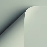 Papier Curious Skin Grey 270g/m² 700 mm x 1000 mm