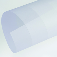 Papier Curious Translucents Bright White 100g/m² 720mm x 1020mm