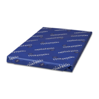 Papier Couché Novatech Digital silk 350 g/m² 450 mm x 320 mm Enramé