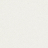 papier Rives Tradition ijswit 120g 700x1000mm ingeriemd FSC®