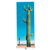 RollUp Triangle Coala System 850 mm x 2200 mm