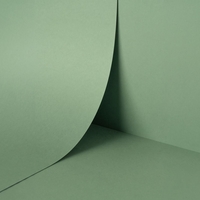 papier Keaykolour Matcha Tea 300g 700x1000mm ingeriemd FSC®