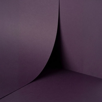 papier Keaykolour Prune 300g 700x1000mm ingeriemd FSC®