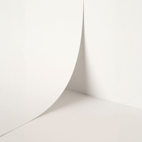 papier Keaykolour Zuiver Wit 300g 700x1000mm ingeriemd FSC®
