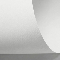 Papier Rives Design Bright White 350g/m² 700 mm x 1000 mm
