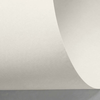 Papier Rives Design Natural White 350g/m² 700 mm x 1000 mm