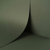 papier Keaykolour Sequoia 300g 700x1000mm ingeriemd FSC®