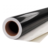 Vinyle coulé Arlon Premium Colour Change 404 Gloss Black Metallic brillant