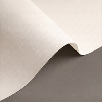 Papier Olin Design Regular Bright White 300g/m² 460mm x 640mm