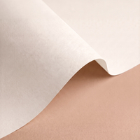 Papier Olin Design Regular Soft White 170g/m² 720mm x 1020mm